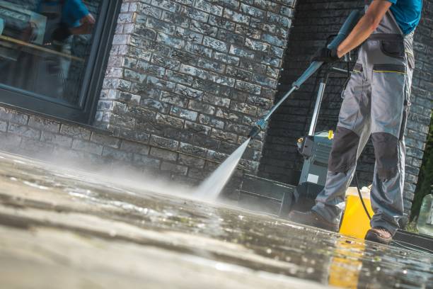 Best Roof Washing  in Shepherdsville, KY